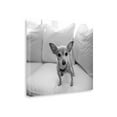 thumbnail image 2 of Tangletown Fine Art 'Sweetpea' Photographic Print on Wrapped Canvas, 2 of 3
