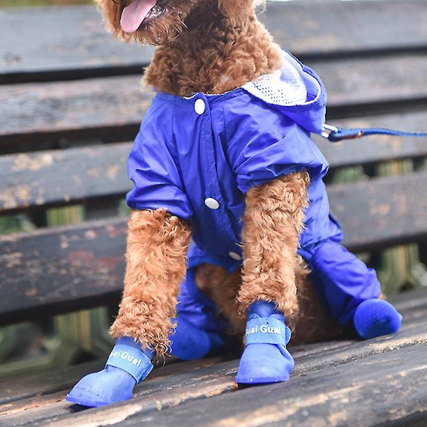 Cachorros Perros Colores Del Caramelo Antideslizante Goma Impermeable Zapatos De Lluvia Botas