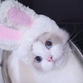 thumbnail image 2 of Gorra para gato, sombrero para mascotas, sombrero ligero para mascotas, disfraz de sombrero para mascotas, valor inmejorable, 2 of 5