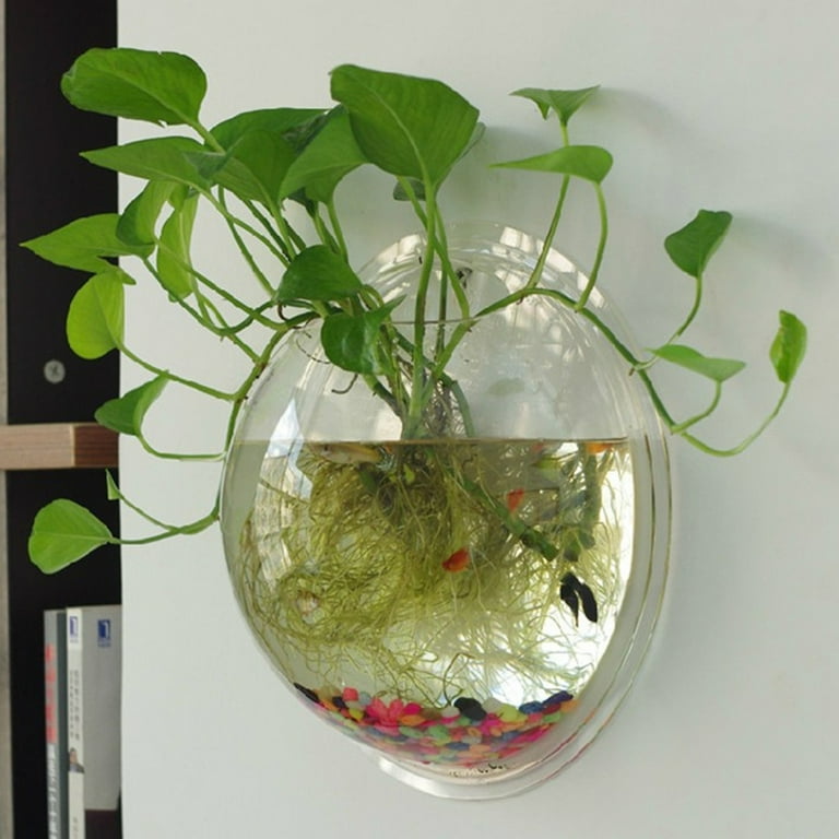 Acrylic top fish bowl