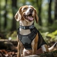 thumbnail image 2 of LAICAIW Reflective Dog Collar,Soft Neoprene Padded Breathable Nylon Pet Collar Adjustable for Medium DogsGray,M, 2 of 7