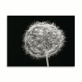 thumbnail image 2 of Gango Home Decor Dandelion 1 by Jim Christensen (Printed on Paper); One 24x18in Fine Art Paper Giclee Print, 2 of 4