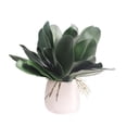 thumbnail image 3 of Orquídeas artificiales Phalaenopsis hojas planta en maceta hoja decoración de oficina en casa 20 piezas Inevent JJ7545-00×10, 3 of 3