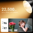 thumbnail image 3 of Luz LED Godox ML60IIbi de 70 W bicolor con empuñadura a batería, 3 of 9
