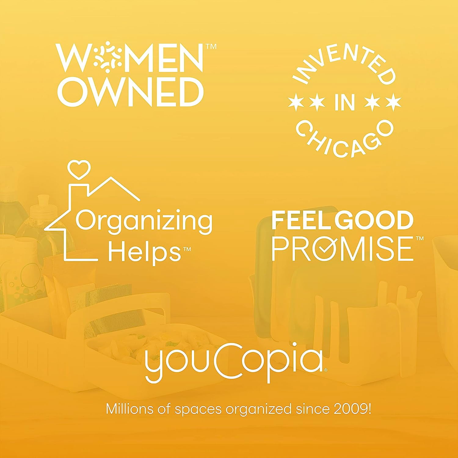 YouCopia Dry+Store Bag Drying Rack and Bin Set