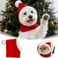 thumbnail image 1 of BotaniNest Winter Hat Knitted Woolen Yarn For Small And Medium Puppy Cats Warm And Cozy Festive Design Machine Washable Perfect For And Cold Weather, 1 of 7