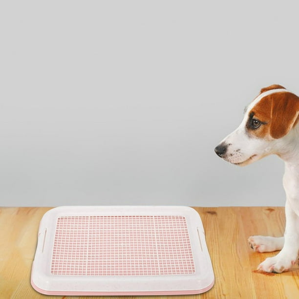 Dog Potty Toilet Training Tray Dog Potty Tray Toilet 18.5x13.8 inch Removable Pink Walmart