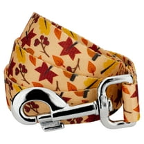 Country Brook Petz® 1/2 inch Fall Foliage Dog Leash - 4 Foot