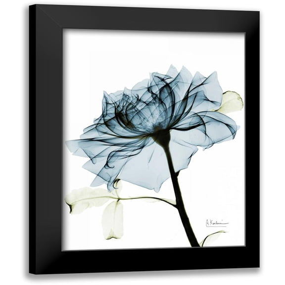 Koetsier, Albert 12x14 Black Modern Framed Museum Art Print Titled - Teal Rose 2
