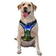 thumbnail image 1 of XMXY No Pull Dog Harness, Paint Art Adjustable Reflective Pet Harness with Oxford Vest, Medium Size, 1 of 9