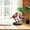 B, variant on ShunRuiPi Colorful Bird Decorations Home Decoration Decorations Flower Bird Pendants Bird Group Decorations, Modern Home Decor, Centerpiece Table Decorations Under