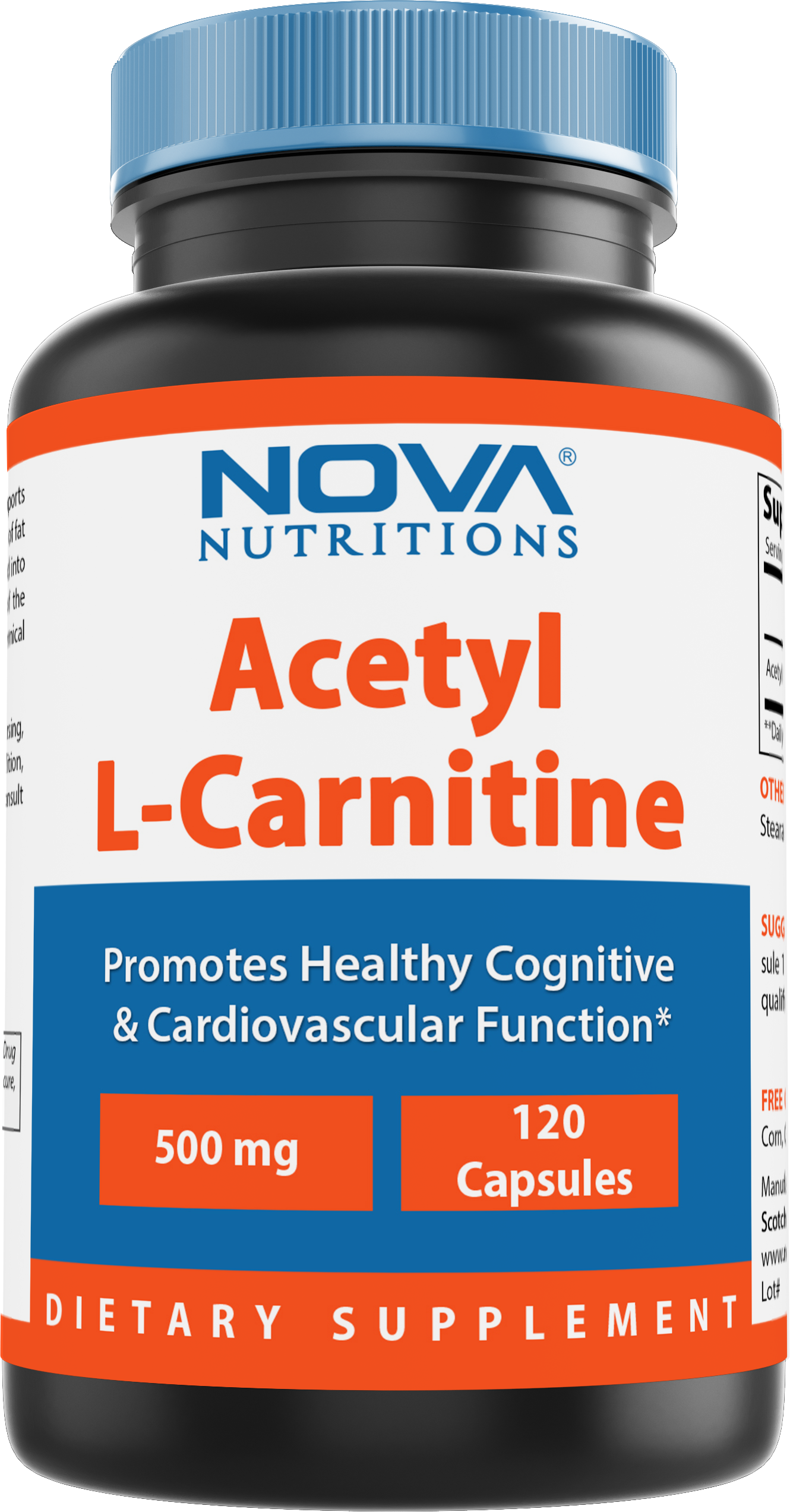 Nova Nutritions Acetyl LCarnitine 500mg Capsules Helps Maintain