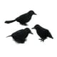 thumbnail image 4 of Cuervos de Halloween Macarena 3x Cuervos con plumas negras Estilo A, 4 of 8