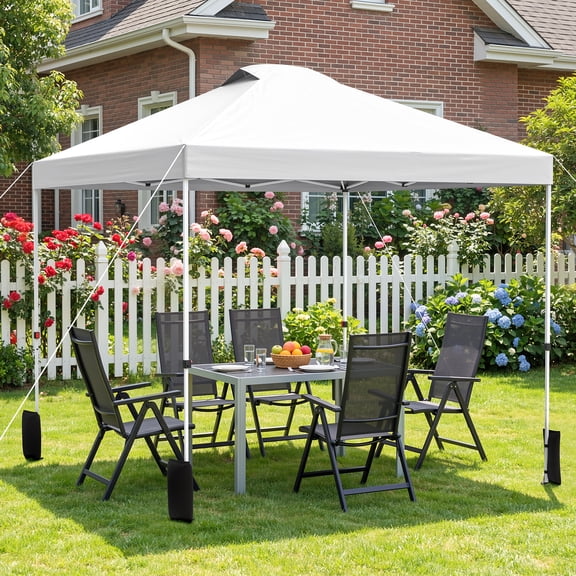 Vitarpatio 10 x 10 ft Pop up Canopy Tent Instant Outdoor Gazebo Straight Leg Shade Tent Shelter with Roller Bag