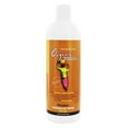 thumbnail image 1 of Organic Excellence - Revitalizing Hair Therapy Shampoo Wild Mint - 16 fl. oz., 1 of 3