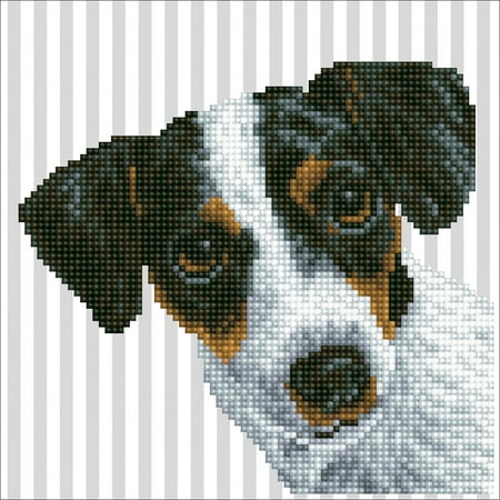 UPC: 4897073246291 | DIAMOND DOTZ® Me Diamond Painting Kit