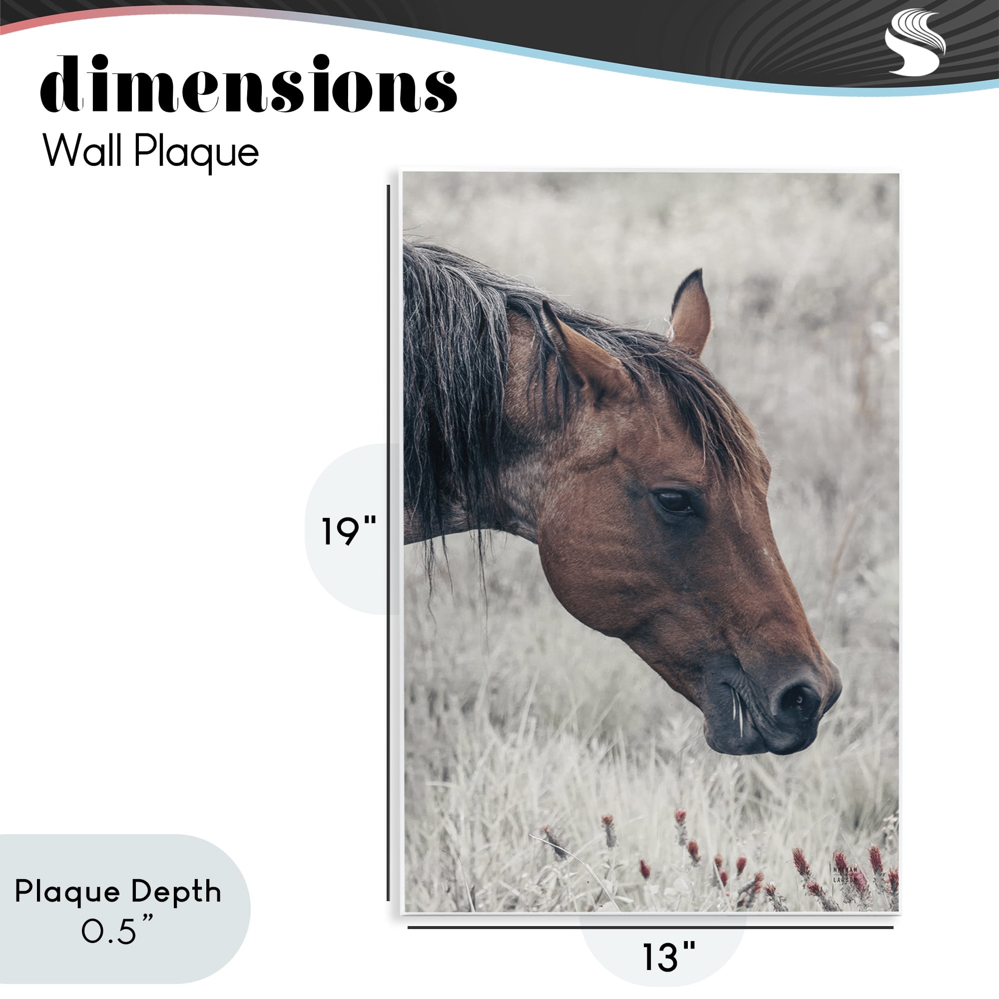 Stupell Industries Mother Horse Grazing in Meadow Wall Plaque Art, design by Nathan Larson
