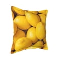 thumbnail image 2 of Bingfone Decorative Pillow Covers 16"X16" Ripe Yellow Lemon Couch Pillow Cases Modern Farmhouse Covers For Couch Sofa Bed, 2 of 9