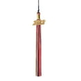 thumbnail image 3 of Class Act Graduation Graduation Tassel - Gold Charm - 3 Color, Black / Purple / Green, 3 of 9