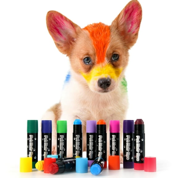 12Pcs Pet Hair Dye Stick Dog Hair Dye Paint Temporary Markers Safe Hair Color Painting Styling Stick Pet Supplies