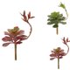 thumbnail image 2 of Simulación de plantas suculentas Cateissary decoración de flores verdes de plástico en maceta 3D, 2 of 6