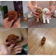 thumbnail image 4 of 2025 New Robot Dog for Adults, AI Robotic Dog, Nicoo - My Realistic Robot Puppy That Acts Like a Real Puppy - Walking, Barking, Tail Wagging 26s, 4 of 5