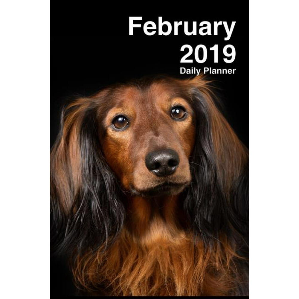 February 2019 Daily Planner One Month Long Haired Dachshund Planner