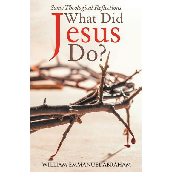 What Did Jesus Do? : Some Theological Reflections