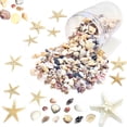 thumbnail image 1 of Juego de conchas marinas de 1500 unidades y estrellas de mar para decoración y manualidades, 1 of 6