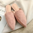 thumbnail image 2 of Women's Spring Autumn Solid Suede Pointed Toe Flat Mule Shoes, 2 of 4