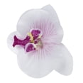 thumbnail image 2 of Lot of 20pcs 9cm Butterfly Orchid Flower Artificial Flower Decor for Wedding Barrette Accessory, 2 of 4