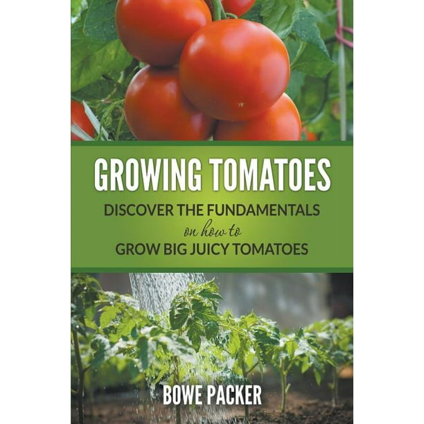 Growing Tomatoes Discover The Fundamentals On How To Grow Big Juicy