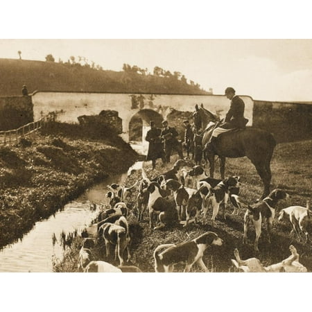 Fox Hunting with Hounds in Italy. the Dogs and a Rider Close to a Stream Print Wall