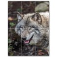thumbnail image 1 of Picture-Tiles.com: Wolf Ceramic Tile Wall Mural WAL501235-34M. 18"W x 24"H using (12) 6" x 6" Ceramic Tiles-Satin Finish, 1 of 3