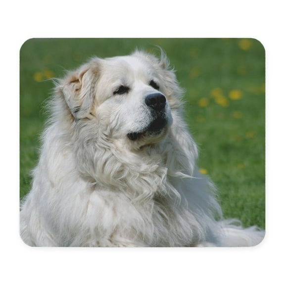 CafePress - Momo118 Great Pyrenees Mousepad - Non-slip Rubber Mousepad, Gaming Mouse Pad
