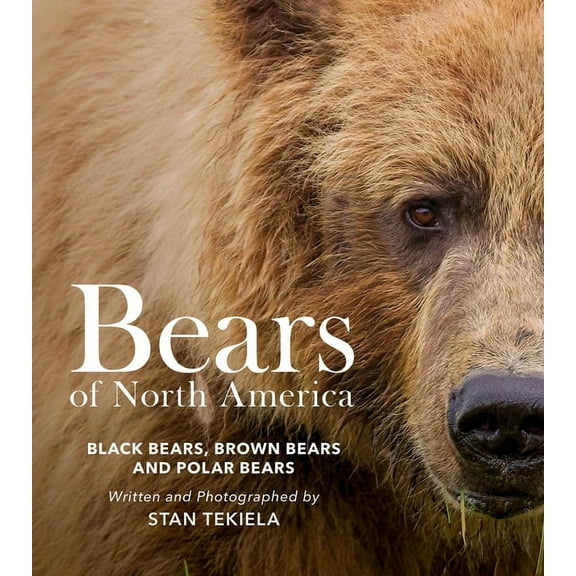 Favorite Wildlife Bears of North America: Black Bears, Brown Bears, and Polar Bears, (Paperback)