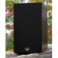 thumbnail image 3 of PSB Alpha P3 Negro Sistema de Altavoces Tipo Monitor, Negro Ceniza, 3 of 8