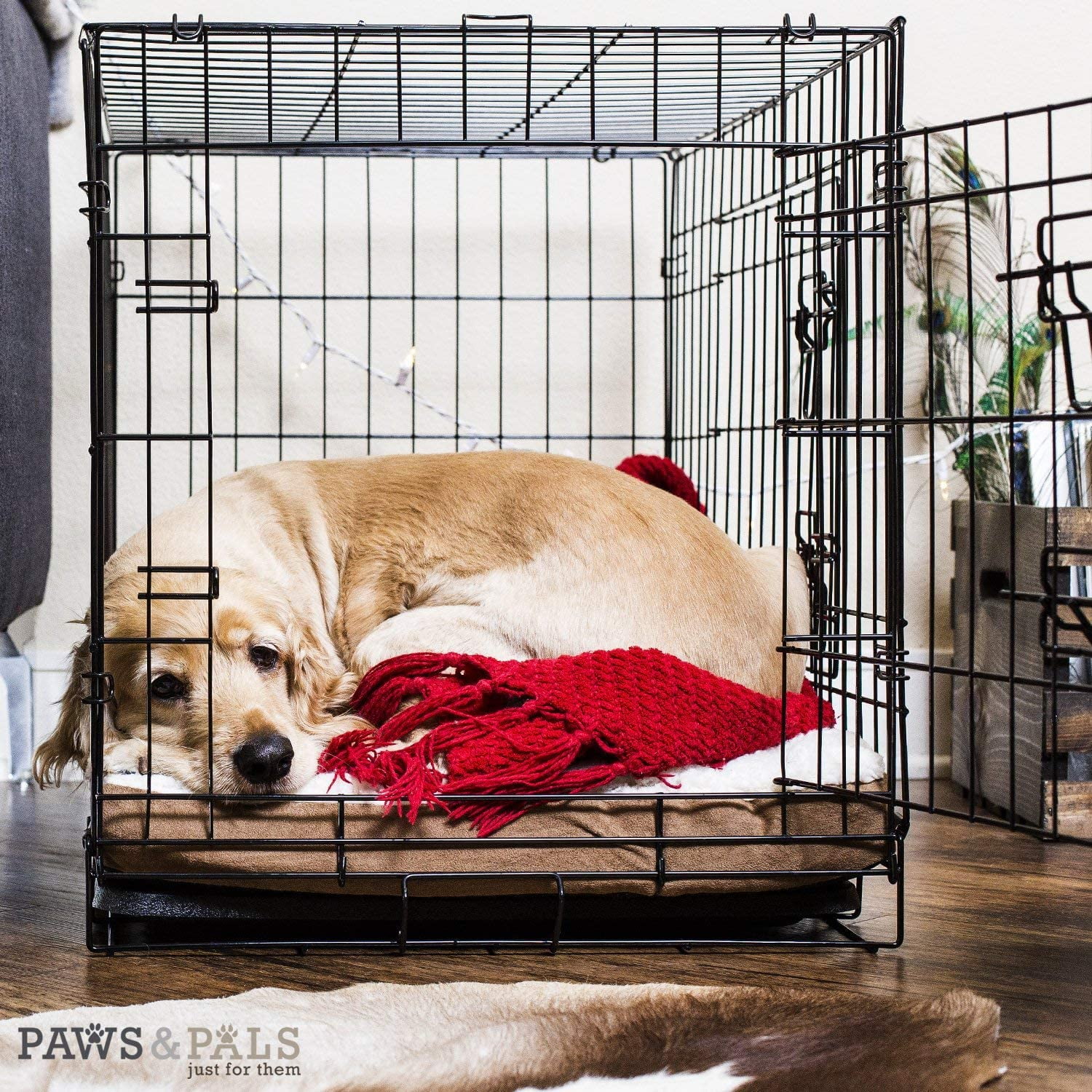 Paws Pals Dog Crate with Tray and Double Door 30 inch Medium