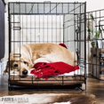 Paws & Pals Dog Crate with Tray and Double Door (30inch) (Medium)