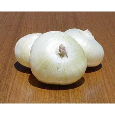 Onion Pickling Crystal White Wax Great Heirloom Vegetable 400