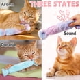 thumbnail image 2 of Easy Joy 3pcs Catnip Toys for Cats Candy Shape Catnip Toys with Crinkle Paper for Indoor Kitten Toy Kicker Pillows, 2 of 5