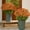 Orange, variant on 12 inch 20PCS Artificial Fall Potted Mum Plant Faux Floral Arrangement in Woven Basket for Front Porch Indoor Home Autumn Harvest Decor Red