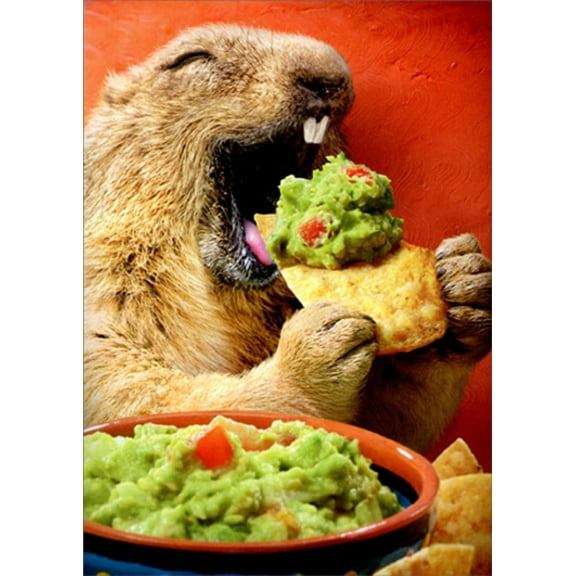 Avanti Press Ground Hog Eating Chip and Guacamole Humorous / Funny Birthday Card