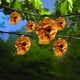 thumbnail image 5 of Luces de Halloween a Pilas, Guirnalda de Luces de 120 Pulgadas (3 Metros), 20 Luces., 5 of 6