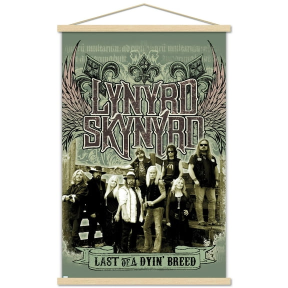 Lynyrd Skynyrd - Green Band Wall Poster with Magnetic Frame, 22.375" x 34"