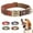Brown, variant on Pet Artist Personalized Dog Collar Leather Custom Name Number Engraved Brass Buckle for Small Medium Large Dogs