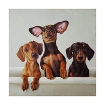 Trademark Fine Art '3 Amigos' Canvas Art by Lucia Hefferna