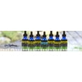 thumbnail image 5 of Dr. Rydland's Pleasant Tasting Liquid Herbal Formulas - Sinus & Allergy (4oz), 5 of 7