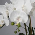 thumbnail image 4 of Planta Artificial orquídeas Decorativas como Flores Reales Ligero Maceta de cerámica decoración de Mesa alféizar de Ventana Altura 47 cm Blanco, 4 of 5