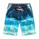 thumbnail image 1 of Pantalones cortos informales para hombre, Shorts transpirables de secado rápido, holgados, con estampado Hawaiano, a la moda, para la playa, novedad de verano Fivean unisex, 1 of 2